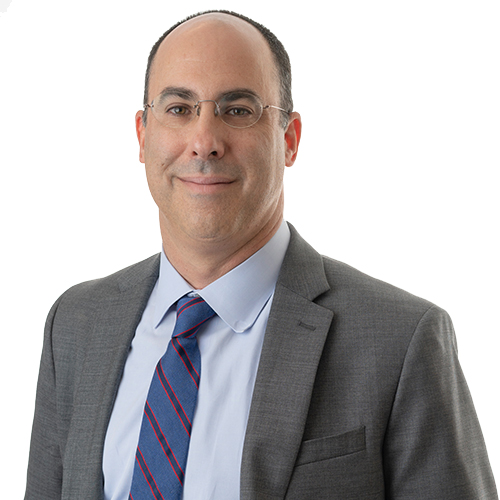 David H. Lichtenstein - Sansiveri Forensic Accounting Accounting Firm Forensic Specialist Tax Planning Financial Experts Accounting